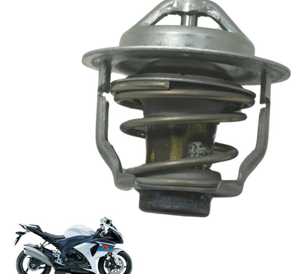 Válvula Termostática Suzuki Gsx-r Srad 1000 11-16 Original