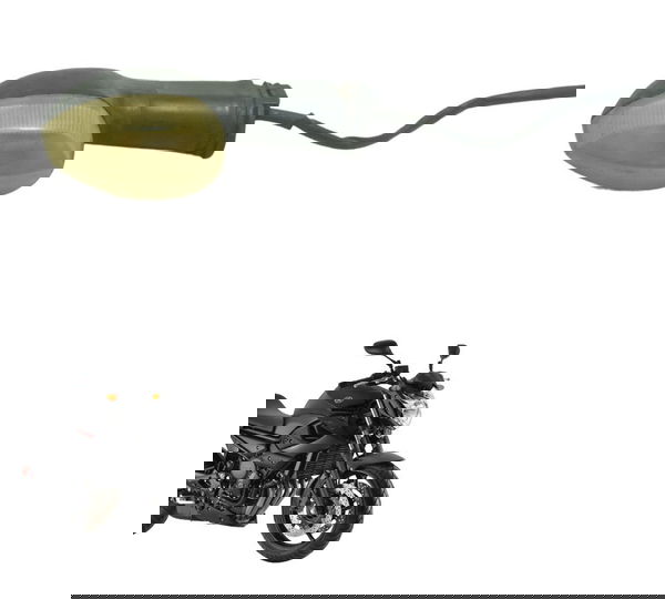 Pisca Traseiro Esquerdo S/ Plug Yamaha Xj6 N 10-12 Original Esquerdo Preto