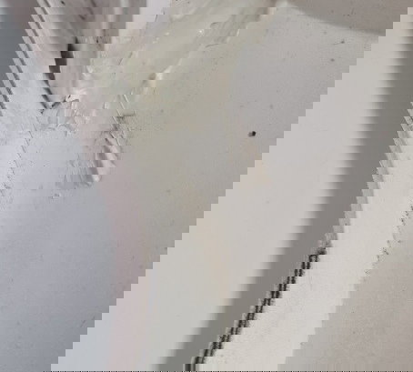 Bico Paralama Dianteiro Bmw G650gs G 650 Avaria 12/15 (9180)