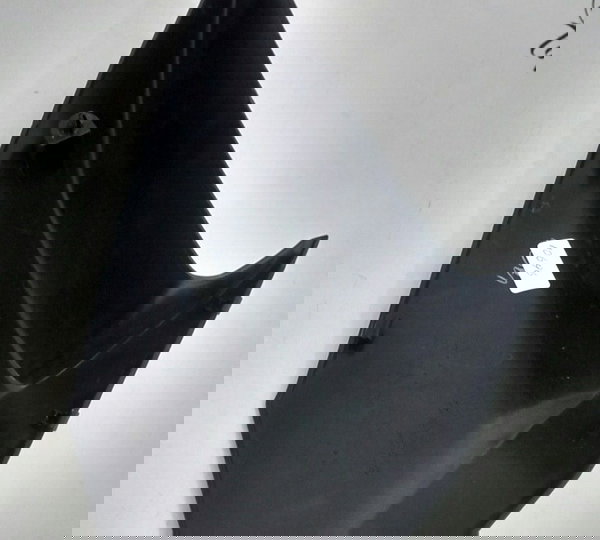 Acabamento Kawasaki Zx 650 Original 017 (10696) Não Se Aplica