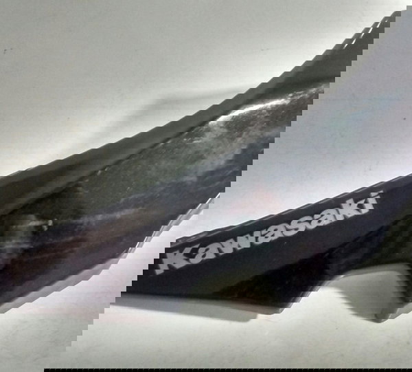 Carenagem Rabeta L/e Kawasaki Z 650 Z650 Original 301 Não Se Aplica