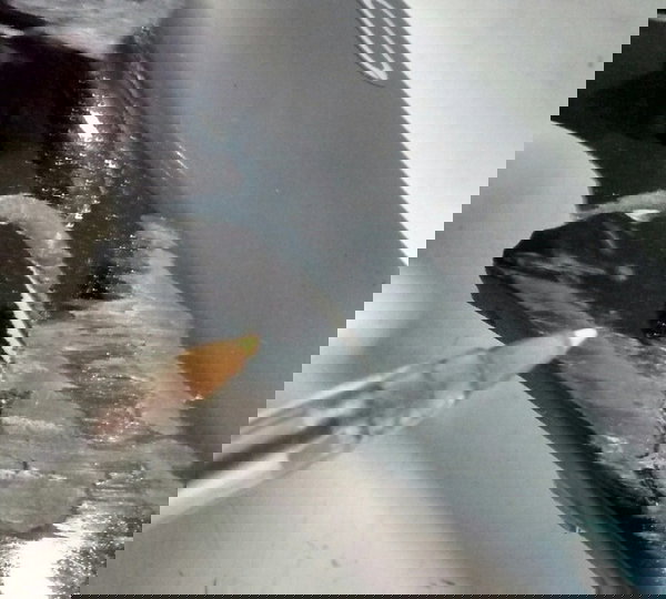 Carenagem Rabeta L/e Kawasaki Z 650 Z650 Original 301 Não Se Aplica