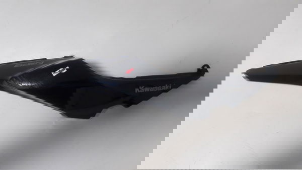 Carenagem Rabeta Lateral Dir Z650 Z 650 18/20 Original 19220