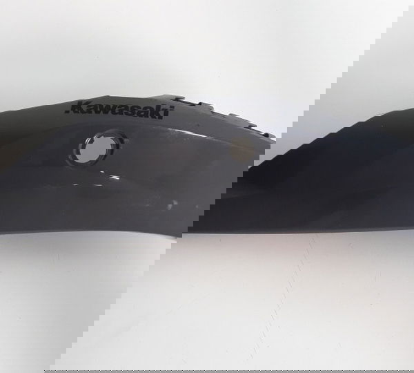 Carenagem Rabeta Esq. Kawasaki Zx10r Zx 10r 2021 Orig. 10538 Cinza-escuro