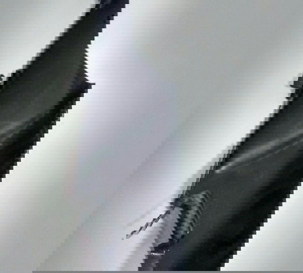 Carenagem Rabeta L/d Kawasaki Zx10 Zx 10 Original (11323)