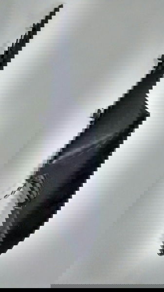 Carenagem Rabeta L/d Kawasaki Zx10 Zx 10 Original (11323)