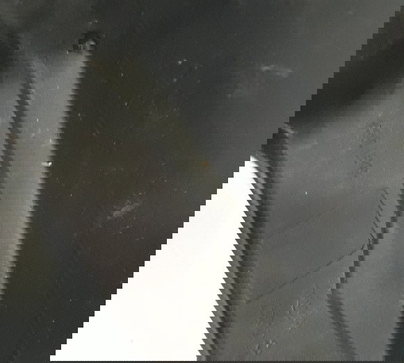 Protetor Mão Tiger 800 2015 L/esq Orig (18003) Preto Esquerdo