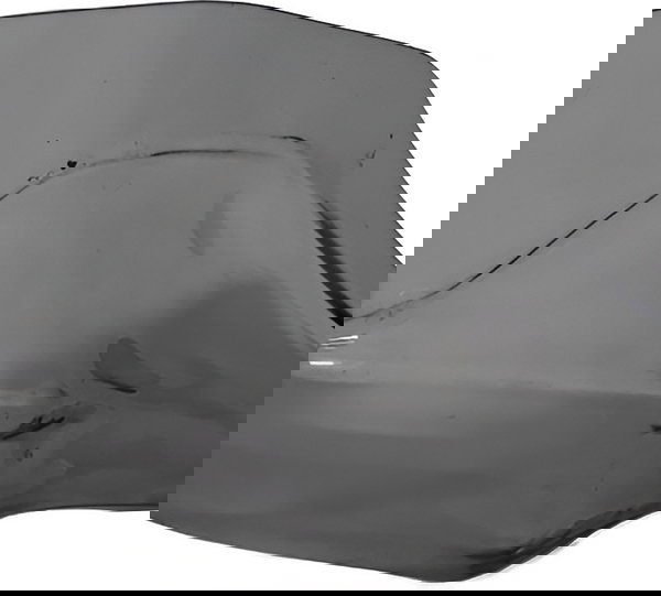 Protetor Mão Bmw Direito R1200 Gs Givi Usado 24358 Transparente Fume