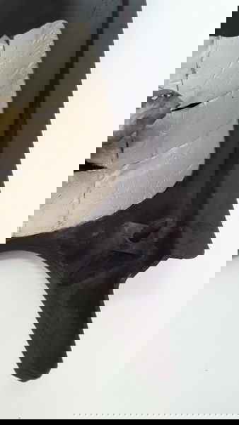 Carenagem Tampa Lateral L/d Yamaha Lander 250 Orig (2100)