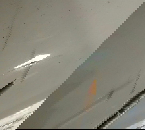 Bolha Parabrisa Kawasaki Zx6 636 2015 (15701)