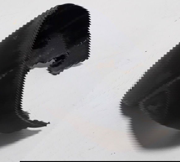 Carcaça Inferior Painel Cb 600f Hornet 08/11 Trincado 24244