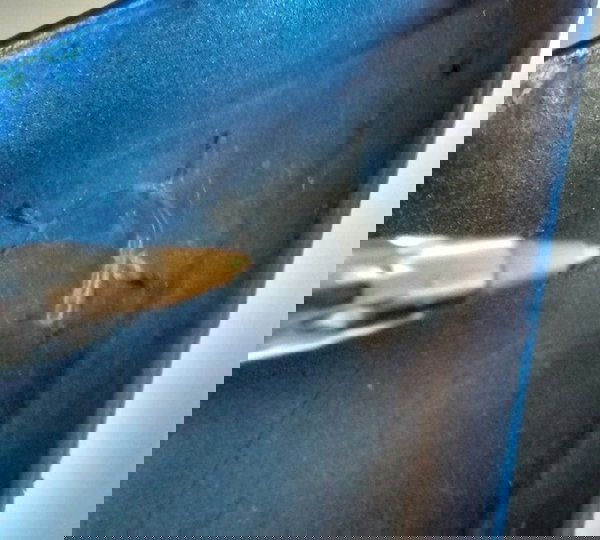 Carenagem Aba Tanque Yamaha Fazer 150 L/e Original (11509) Não Se Aplica