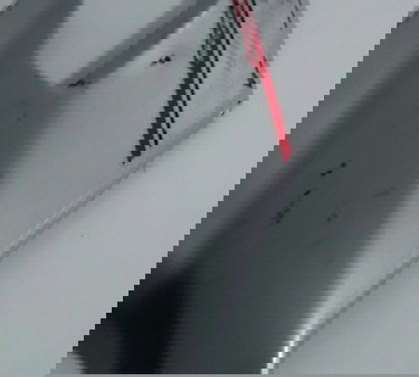 Carenagem Aba Lateral L/d Yamaha Fazer 250 2018 Orig. 12571 Não Se Aplica