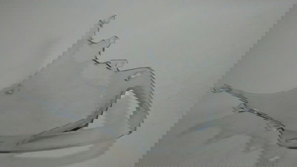 Bolha Parabrisa Bmw S1000 Rr Original (15457)