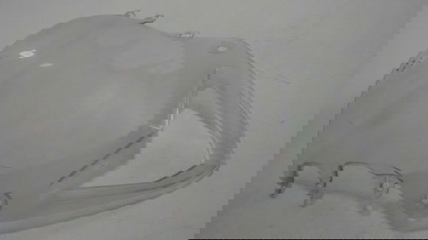 Bolha Parabrisa Bmw S1000 Rr Original (15457)