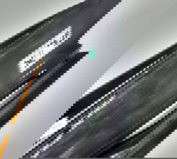 Carenagem Tampa Lateral L/d Honda Bros 150 Original 12047