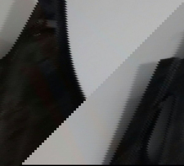 Carenagem Tampa Lateral L/d Honda Bros 150 Original 12047