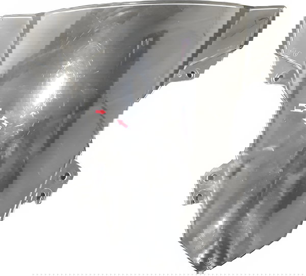 Bolha Frontal Bmw S1000rr 2015/2019 Original Avaria 19115