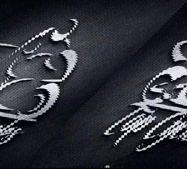 Acabamento Lanterna Traseira Haojue Chopper 150 Orig. 4869