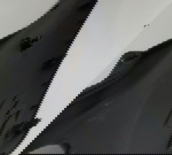 Carenagem Lateral Honda Sh300i Original (6434) Não Se Aplica