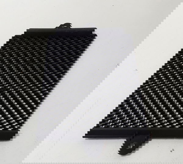 Grade Radiador Triumph Tiger 900 Gt 20/23 Orig 44626 Preto