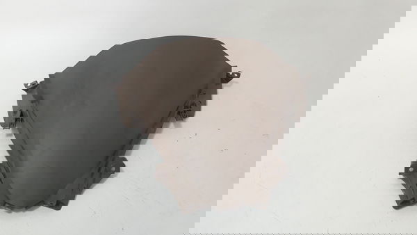 Carenagem Inferior Bolha Honda Pcx 150 19/22 Orig 42833