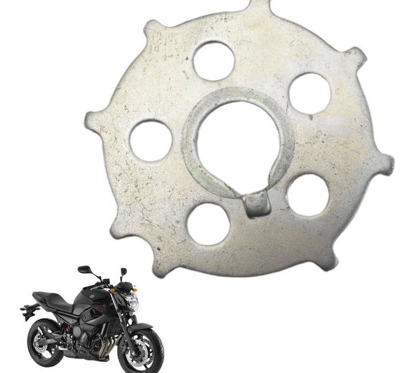 Engrenagem Rotor Pulsador Yamaha Xj6 N 10-12 Original