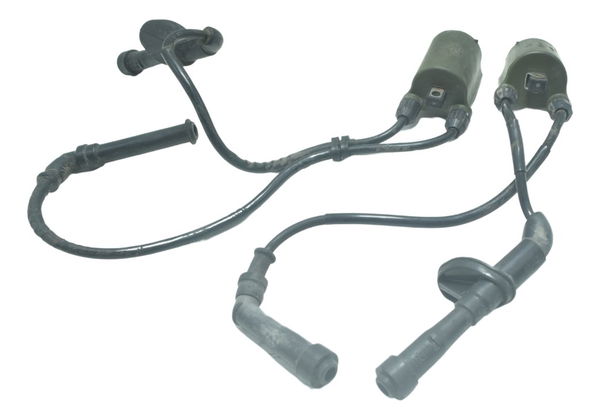 Par Bobina Ignição Honda Shadow 750 06-08 Original