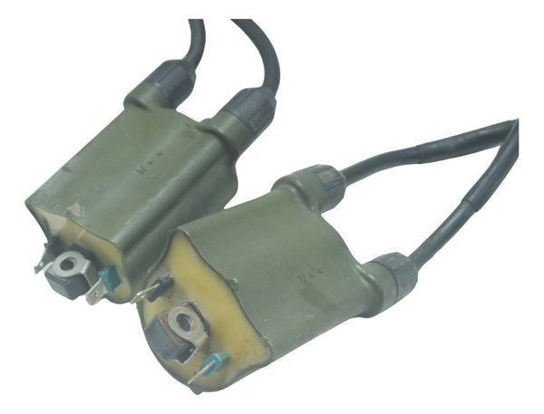 Par Bobina Ignição Honda Shadow 750 06-08 Original