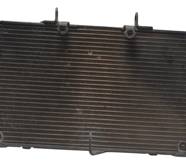 Radiador Honda Cb 600f Hornet 12-14 Original