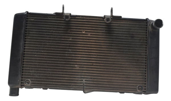 Radiador Honda Cb 600f Hornet 12-14 Original