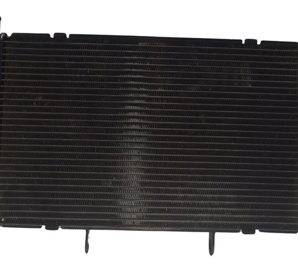 Radiador Honda Cb 600f Hornet 12-14 Original