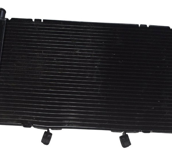 Radiador C/ Detalhes Honda Cb 600f Hornet 12-14 Original