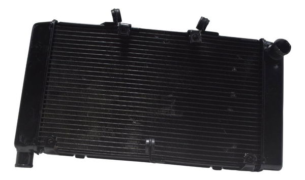 Radiador C/ Detalhes Honda Cb 600f Hornet 12-14 Original