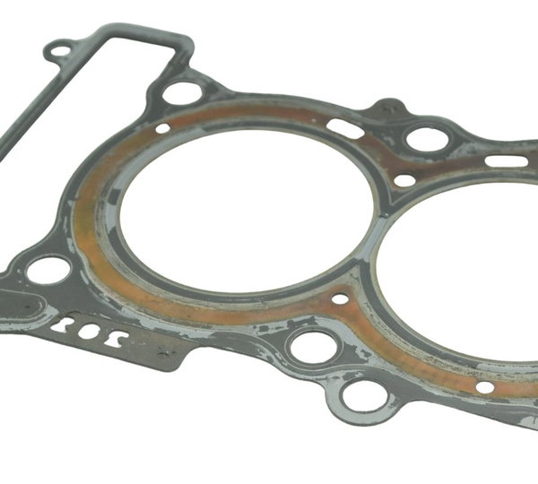 Junta Cabeçote Honda Cb 600f Hornet 12-14 Original