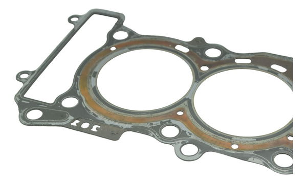 Junta Cabeçote Honda Cb 600f Hornet 12-14 Original