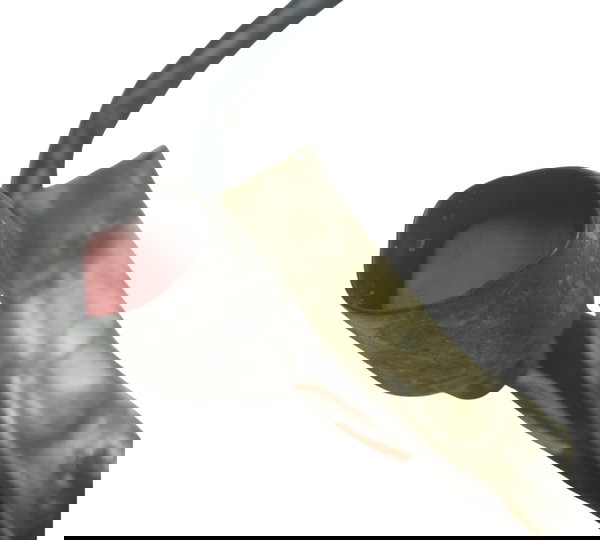 Chicote Secundário Honda Cb 600f Hornet 12-14 Original