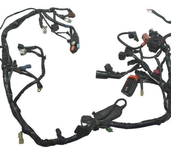 Chicote Principal Honda Cb 600f Hornet 12-14 Original