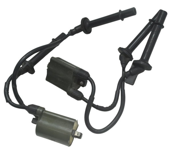 Par Bobina Ignição Honda Cb 600f Hornet 12-14 Original