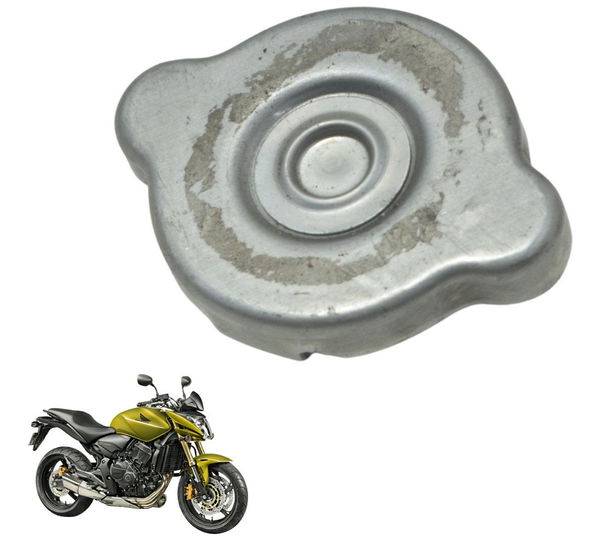 Tampa Radiador Honda Cb 600f Hornet 12-14 Original