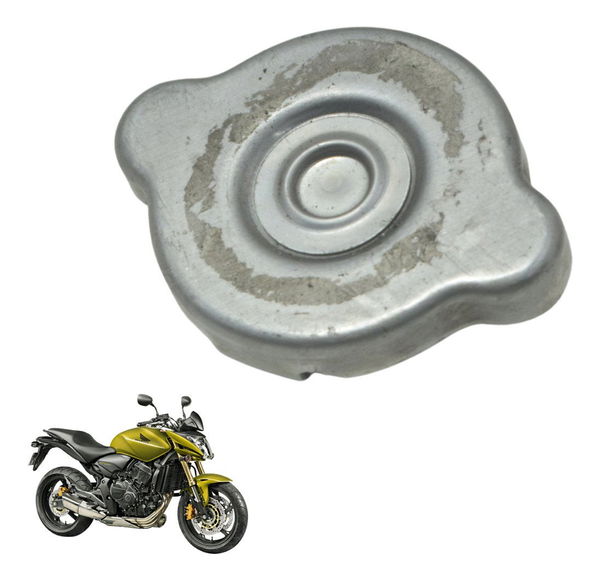 Tampa Radiador Honda Cb 600f Hornet 12-14 Original