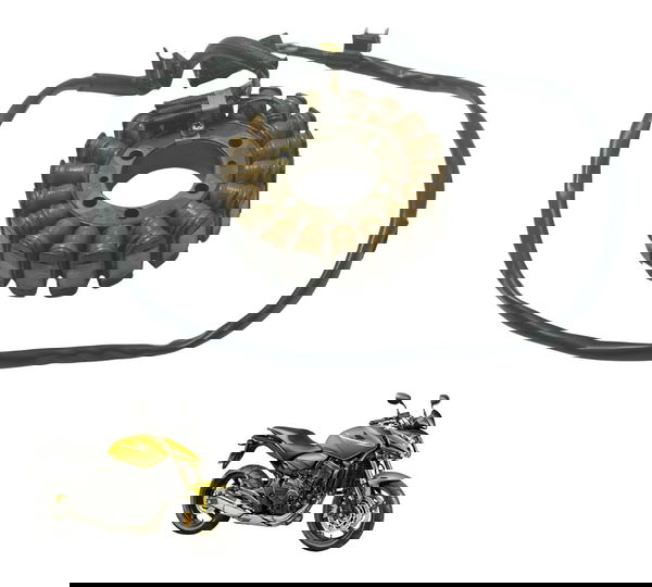 Estator Honda Cb 600f Hornet 12-14 Original