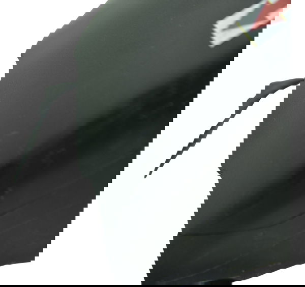 Paralama Dianteiro C/ Avaria Triumph Tiger 900 15-17 Orig