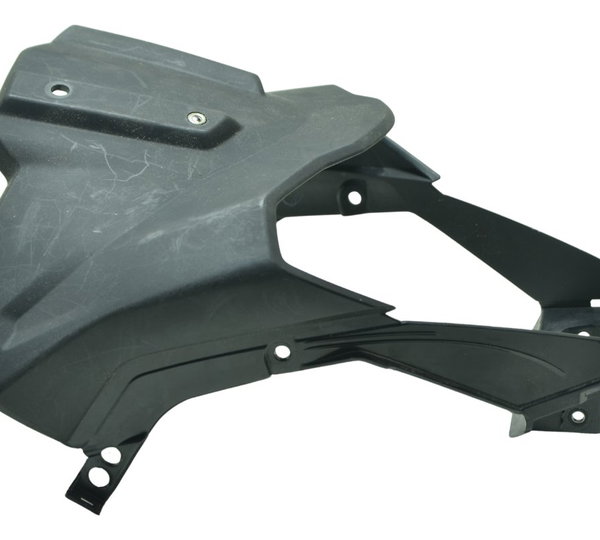 Frontal Mascara Farol Bmw G 310 Gs 20-23 Original