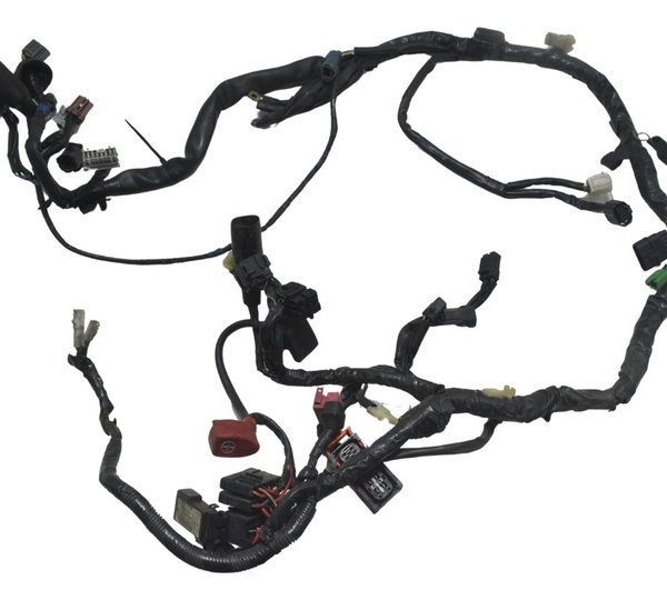 Chicote Principal Honda Cb 600f Hornet 12-14 Original