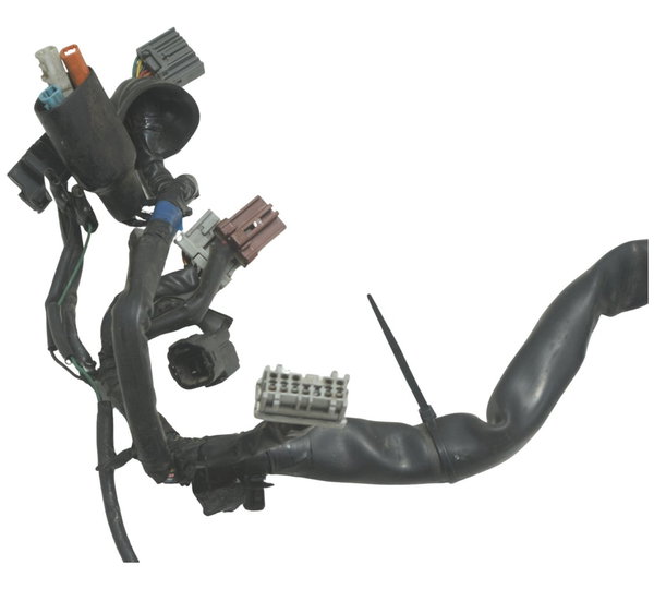 Chicote Principal Honda Cb 600f Hornet 12-14 Original