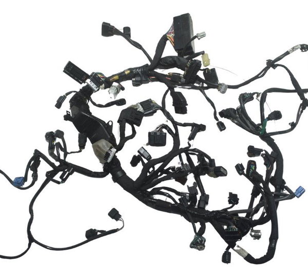 Chicote Principal Honda Crf 1100l África Twin 22-24 Original