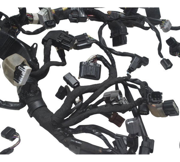 Chicote Principal Honda Crf 1100l África Twin 22-24 Original