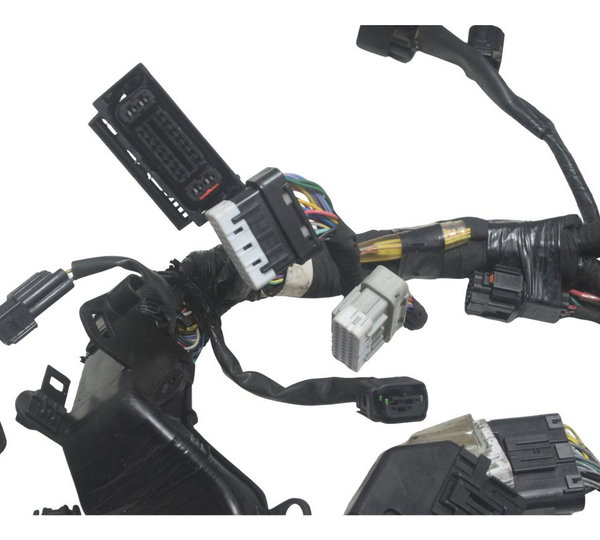 Chicote Principal Honda Crf 1100l África Twin 22-24 Original