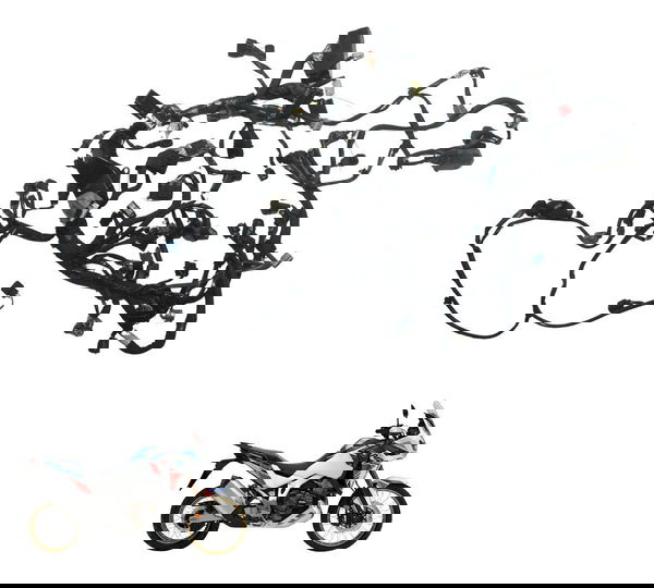 Chicote Principal Honda Crf 1100l África Twin 22-24 Original